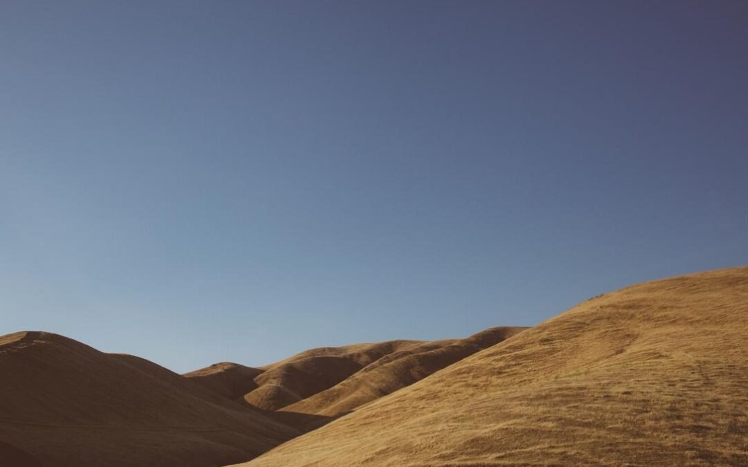 Eum adipisci molestias expedita aspernatur