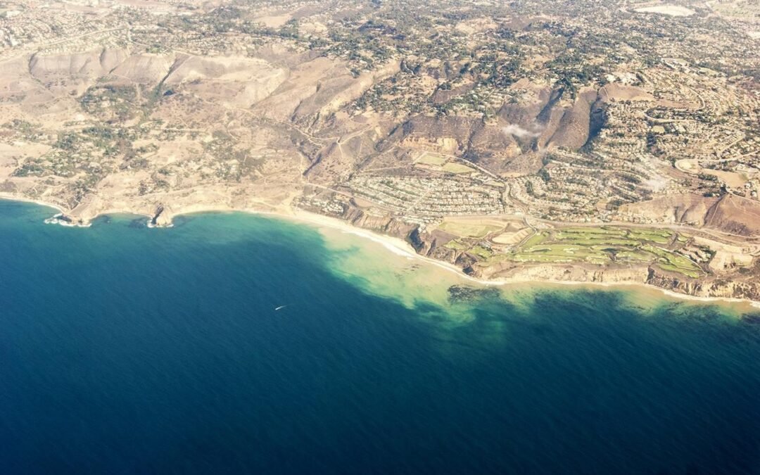 Eligendi et soluta molestiae ipsam qui consequatur