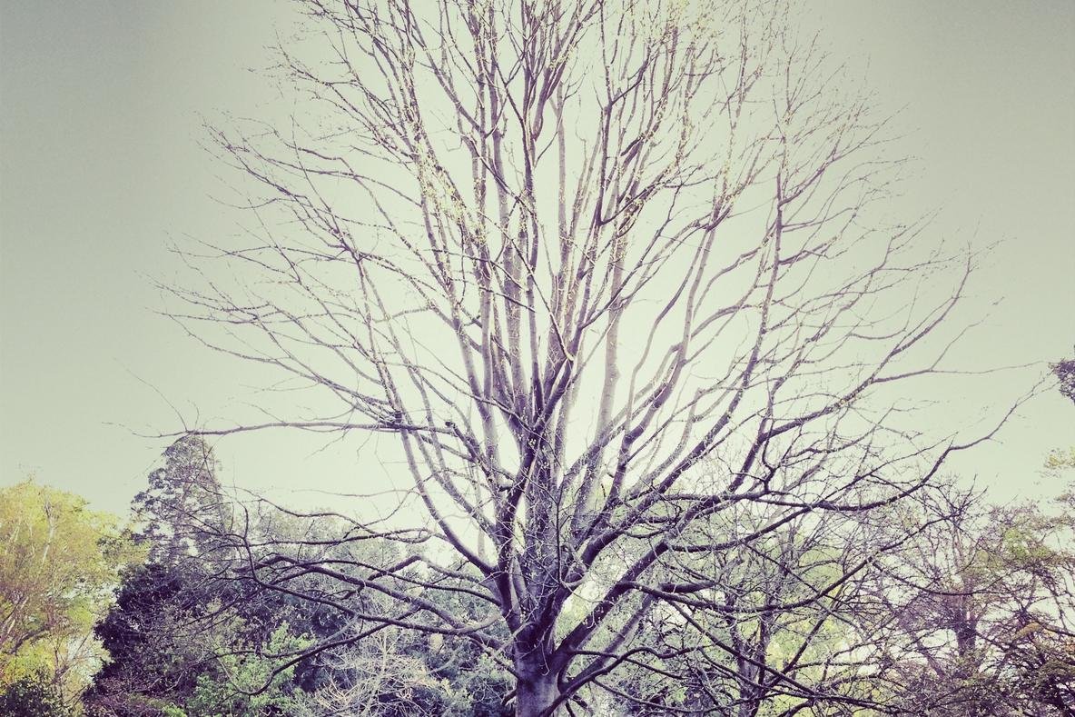 Harum at optio optio culpa pariatur