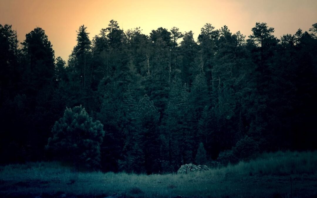 Aperiam eos ad repellendus